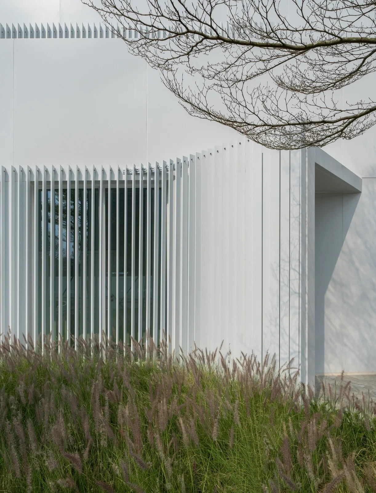 BIM Architecture | Shenzhen Central Park Command Center/One Tree Building