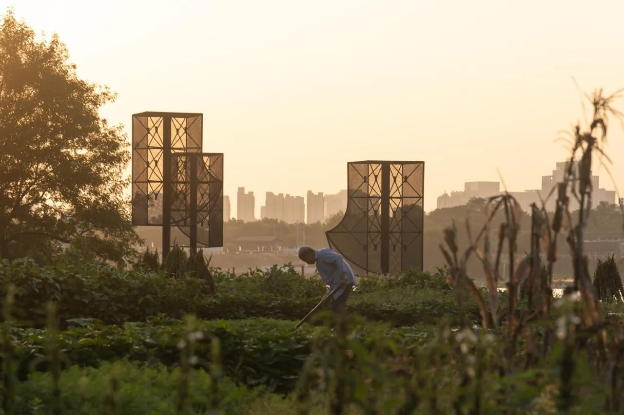 BIM Architecture | 'Wind Rises' Installation, Jingshi Guang River Embankment Renovation/School of Building and Planning, Huazhong University of Science and Technology+Qing · Weishe Studio