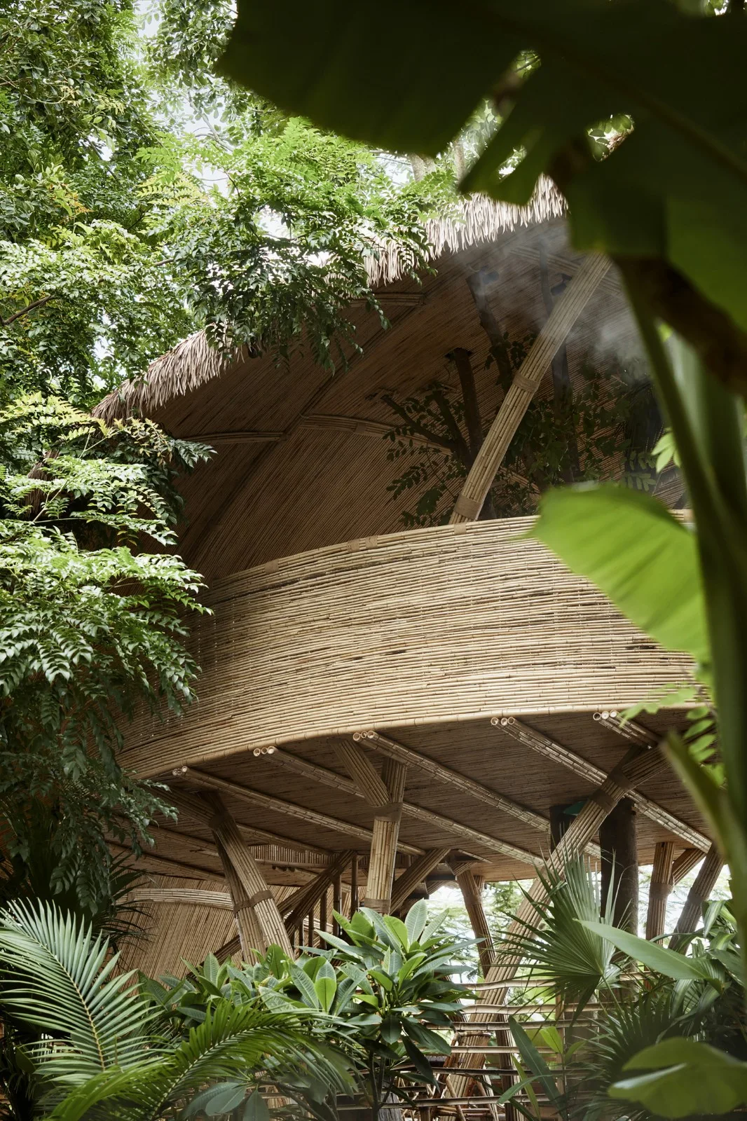 BIM Architecture | Chunwuli/Fangtang Design