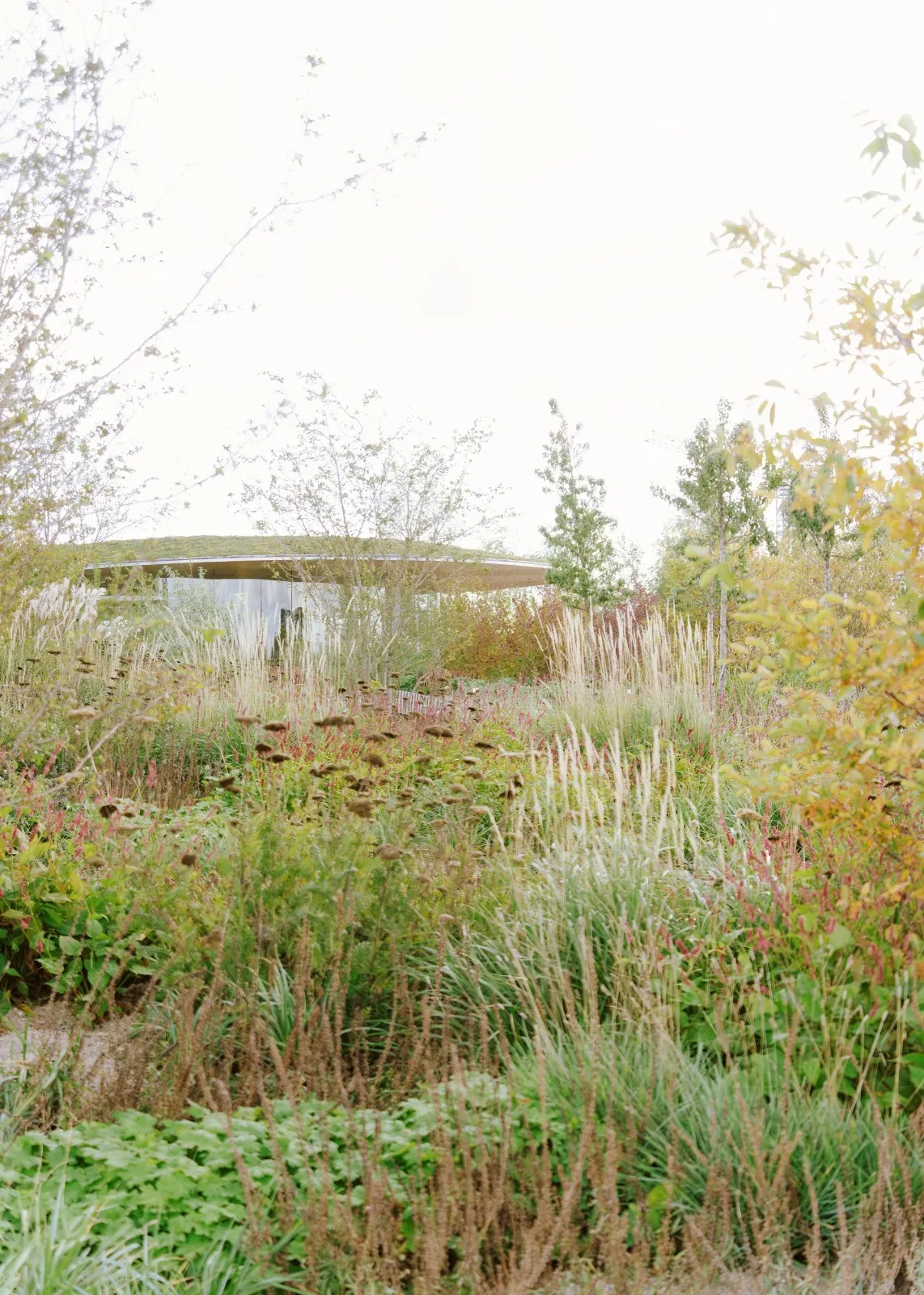BIM Architecture | Opera Park/Cobe