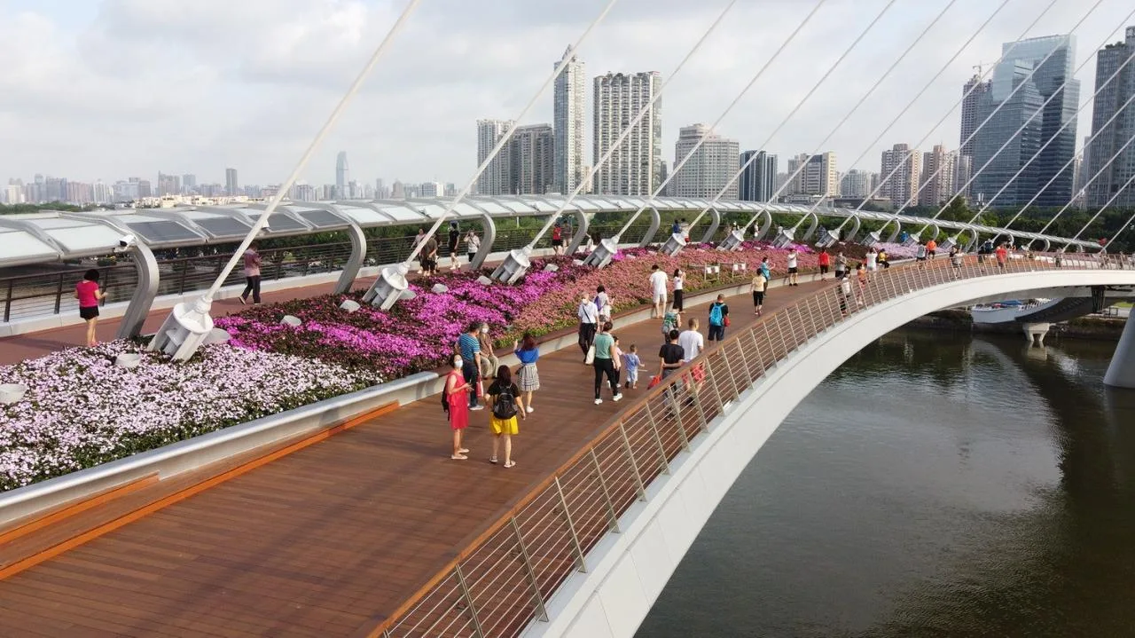 BIM Architecture | Guangzhou Haixin Bridge/South China University of Technology Architectural Design and Research Institute Co., Ltd