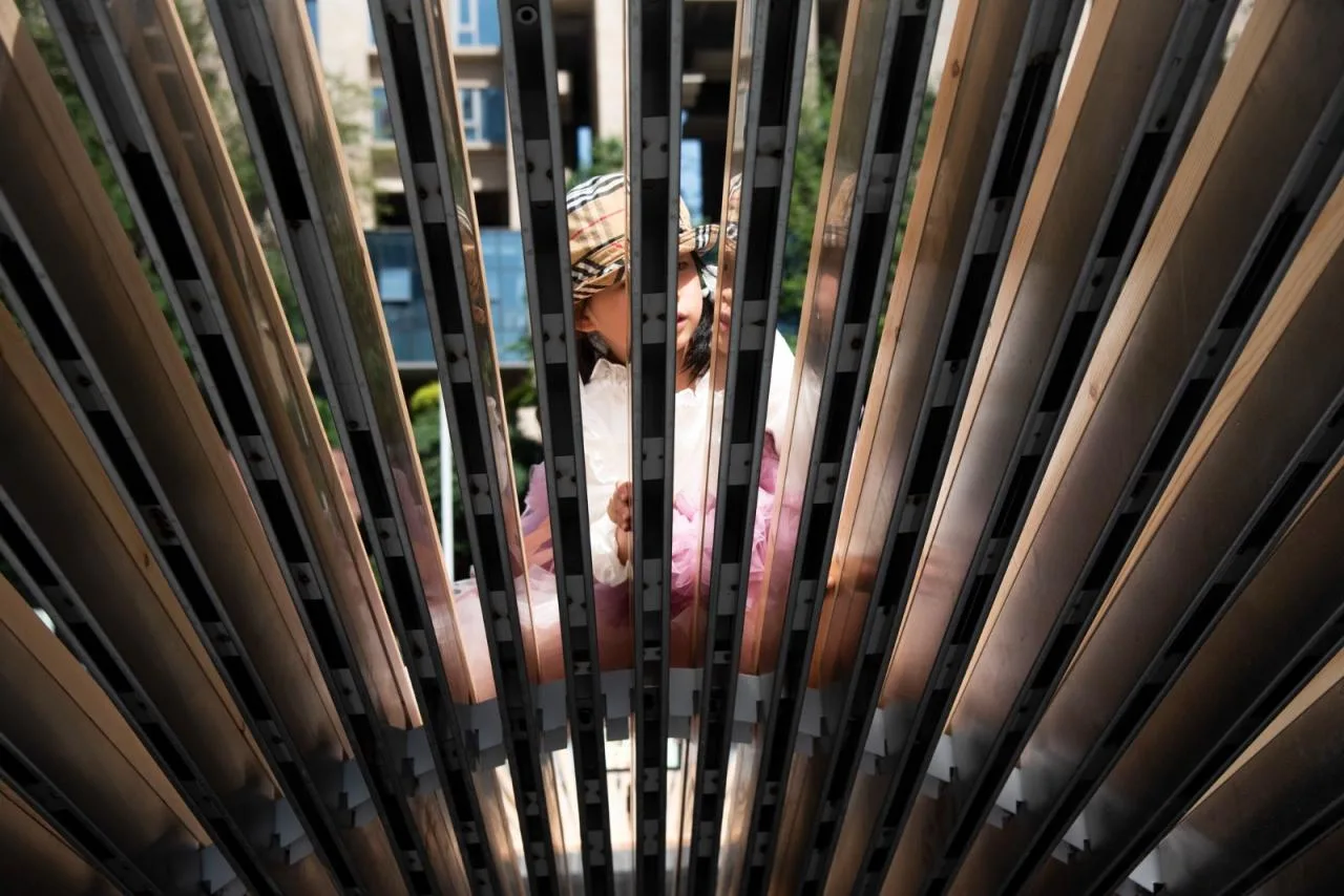 BIM Architecture | A Petal Falling into an Oasis/Chengdu Direct Architectural Design