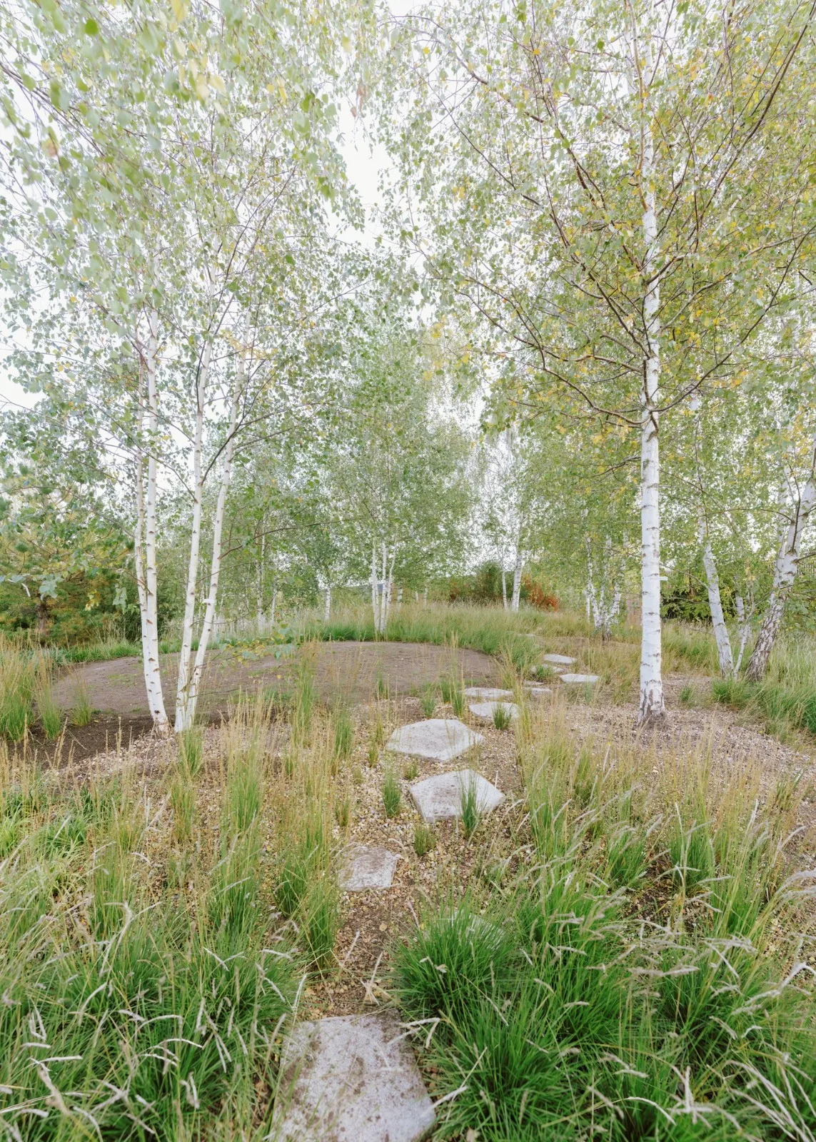 BIM Architecture | Opera Park/Cobe