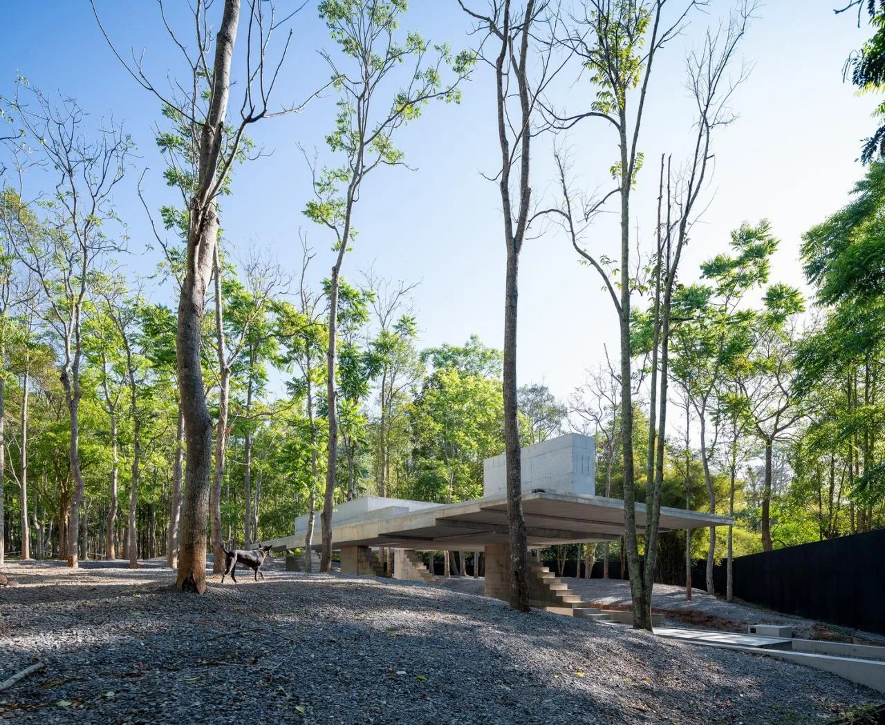 BIM Architecture | Yellow Mini Cafe/JOYS Architects