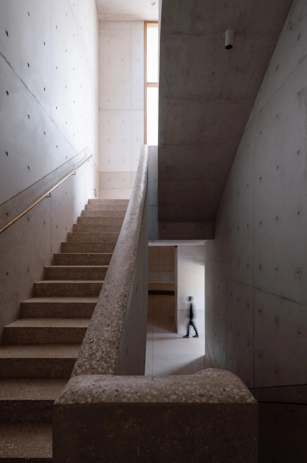 BIM Architecture | North Shore Auditorium/Vertical Building