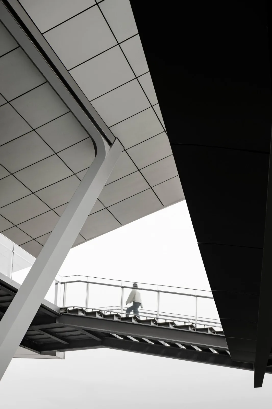 BIM Architecture | Xingyu/SpActrum Spectrum View