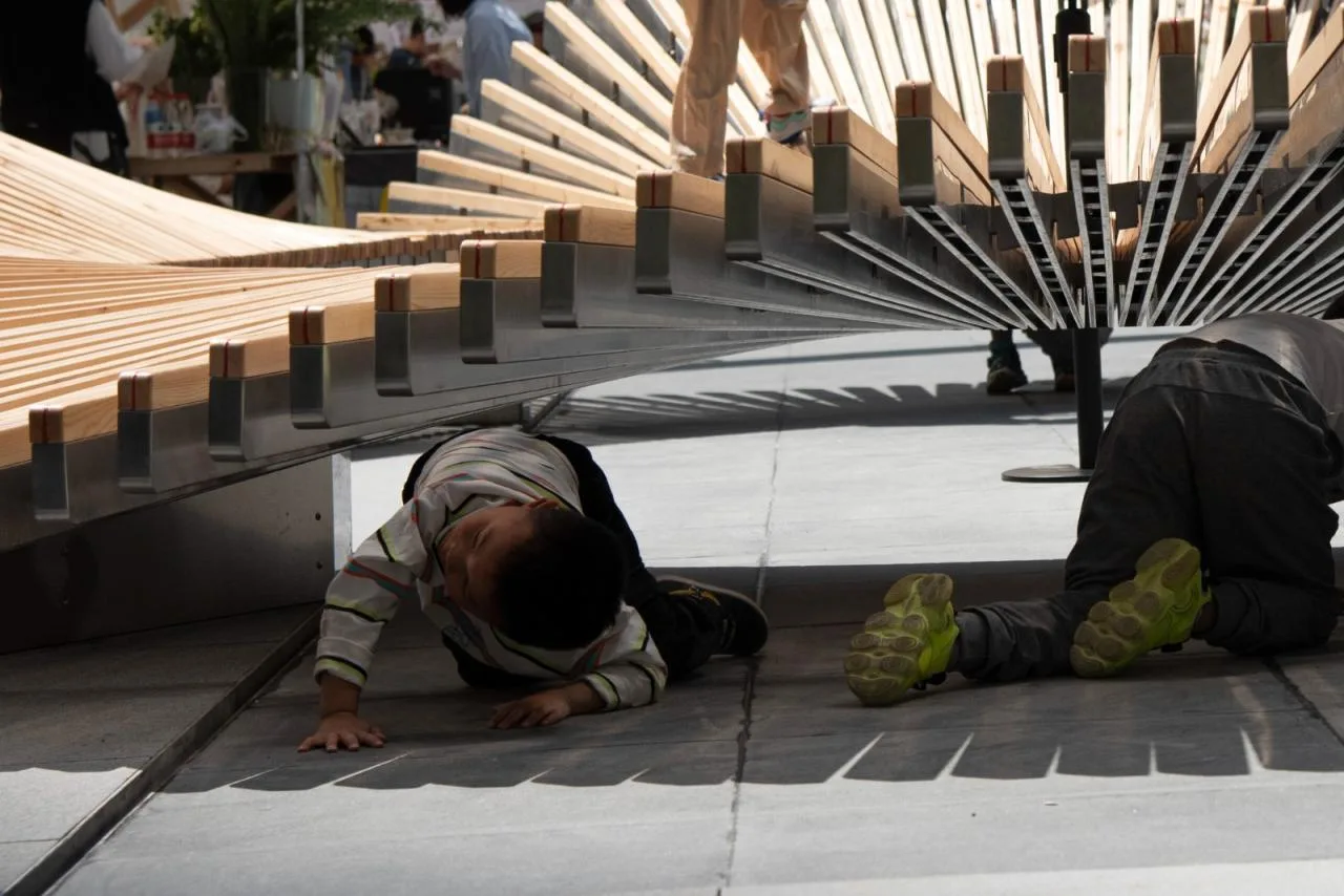 BIM Architecture | A Petal Falling into an Oasis/Chengdu Direct Architectural Design