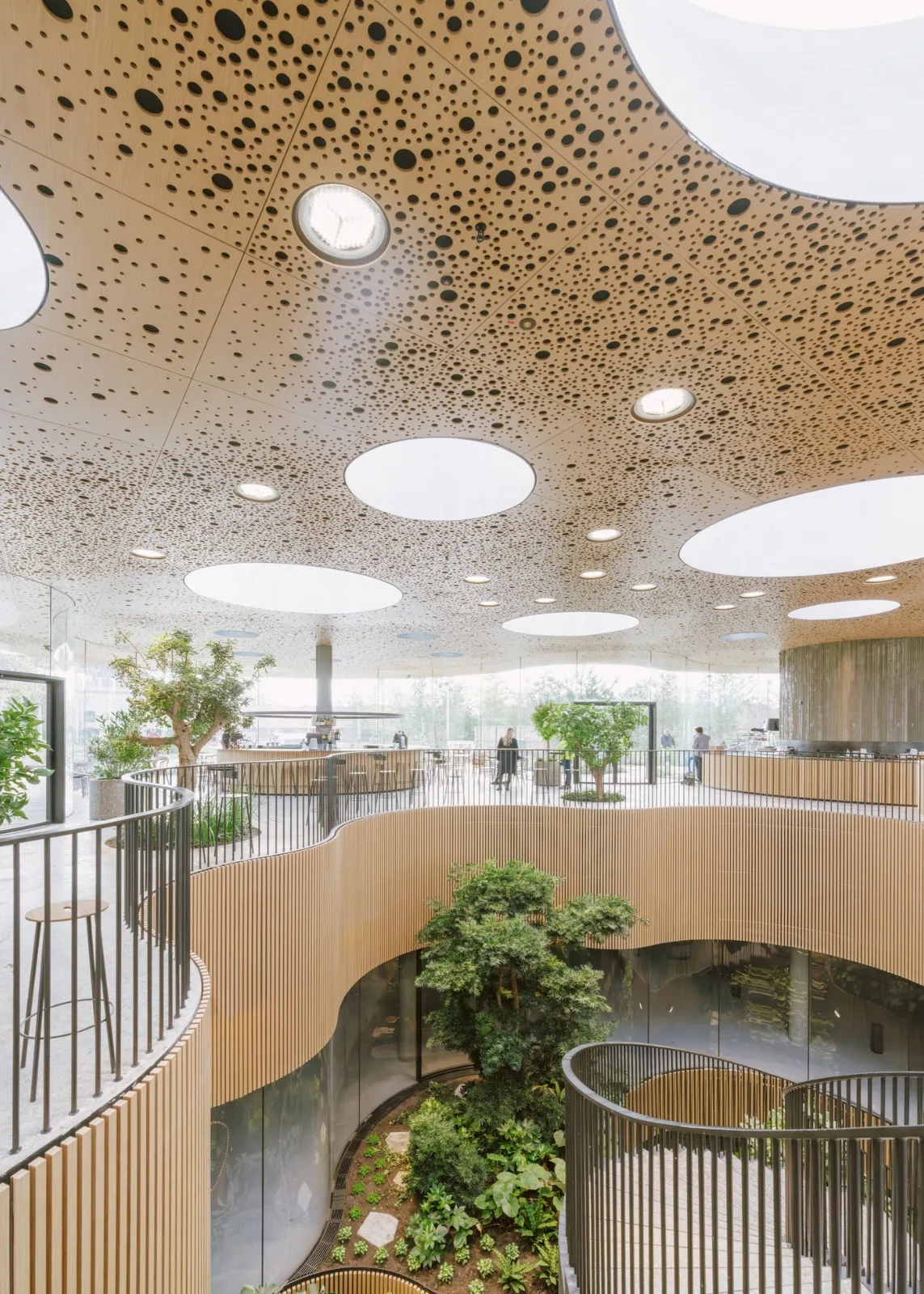 BIM Architecture | Opera Park/Cobe
