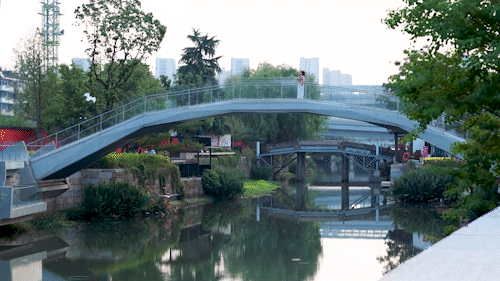 BIM Architecture | Xiangfu Bridge Traditional Style Block: Urban Revitalization and Block Revitalization/Goa Elephant Design