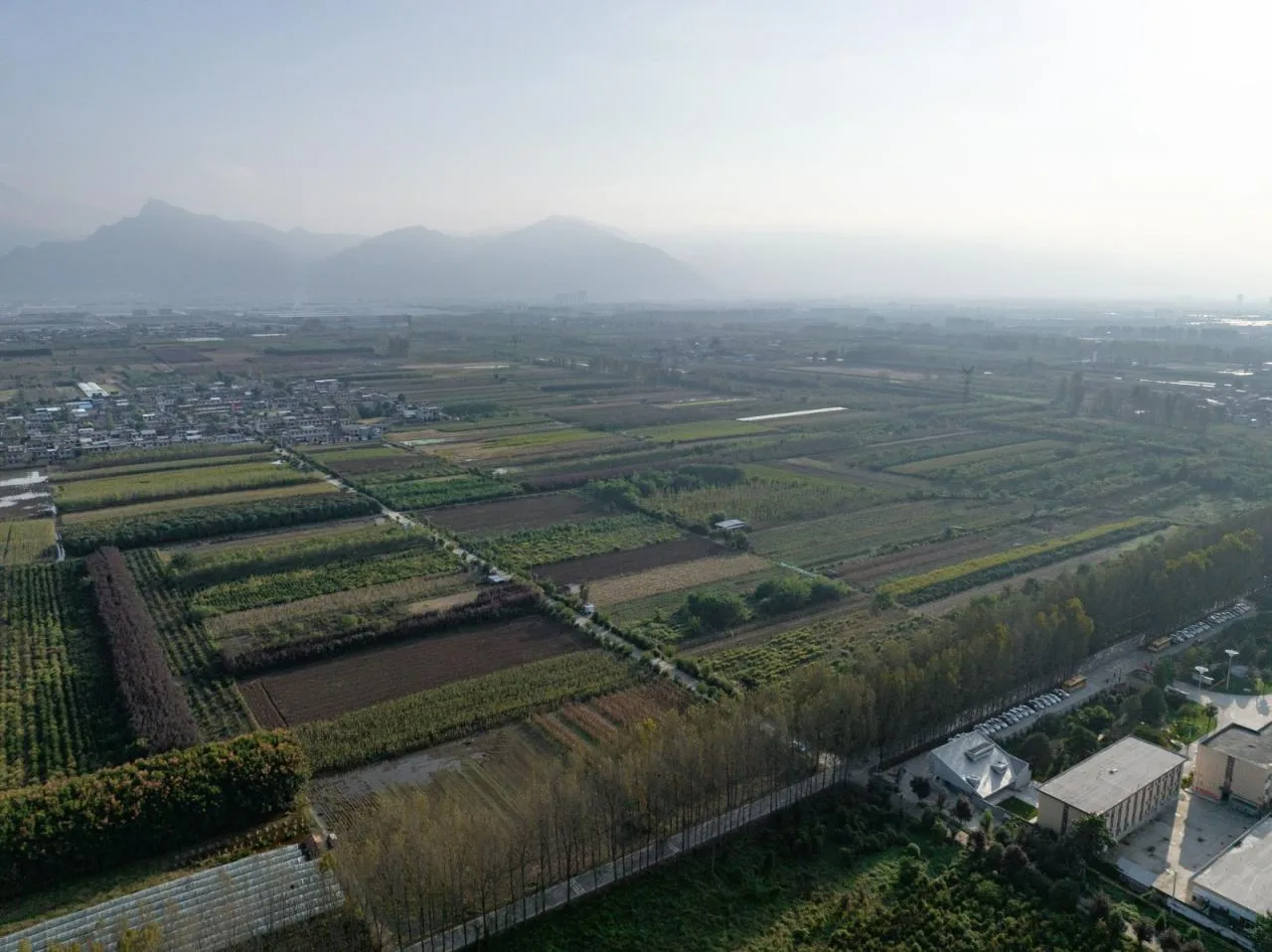 BIM Architecture | Shaanxi Hope Engineering Campus Library 2.0/Campus Architecture