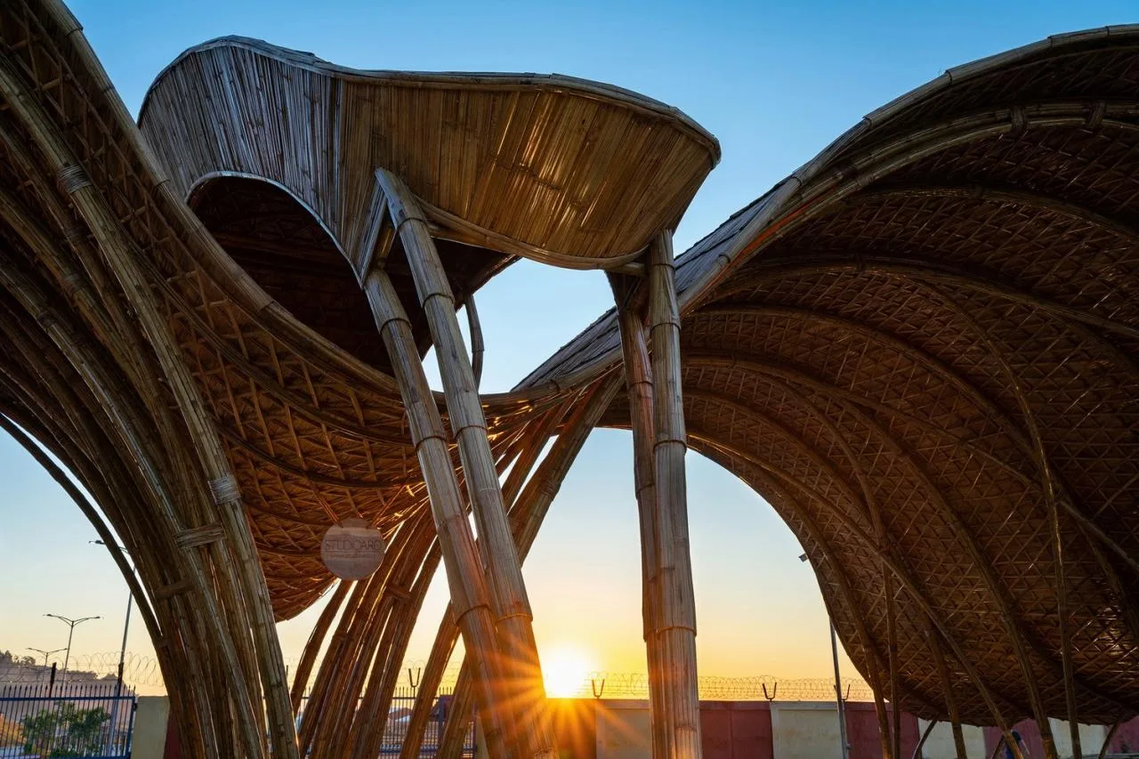 BIM Architecture | Rhinoceros Gate/STUDIOARO