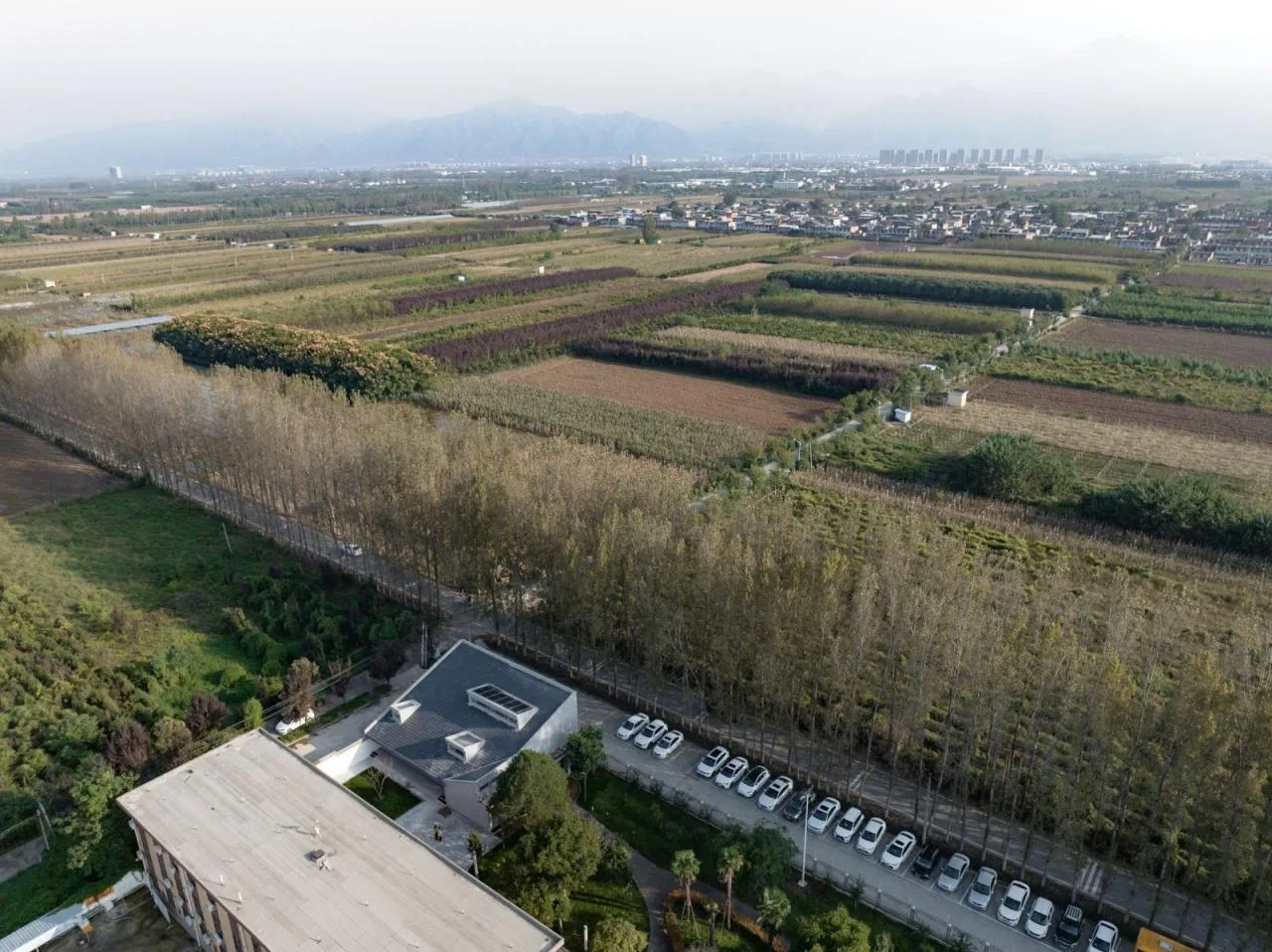 BIM Architecture | Shaanxi Hope Engineering Campus Library 2.0/Campus Architecture