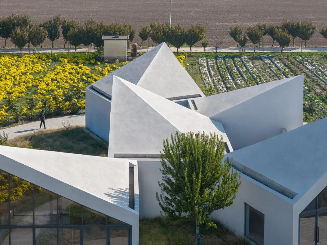 BIM Architecture | Yuntai Mountain Ice Chrysanthemum Field Library/One Tree Architecture