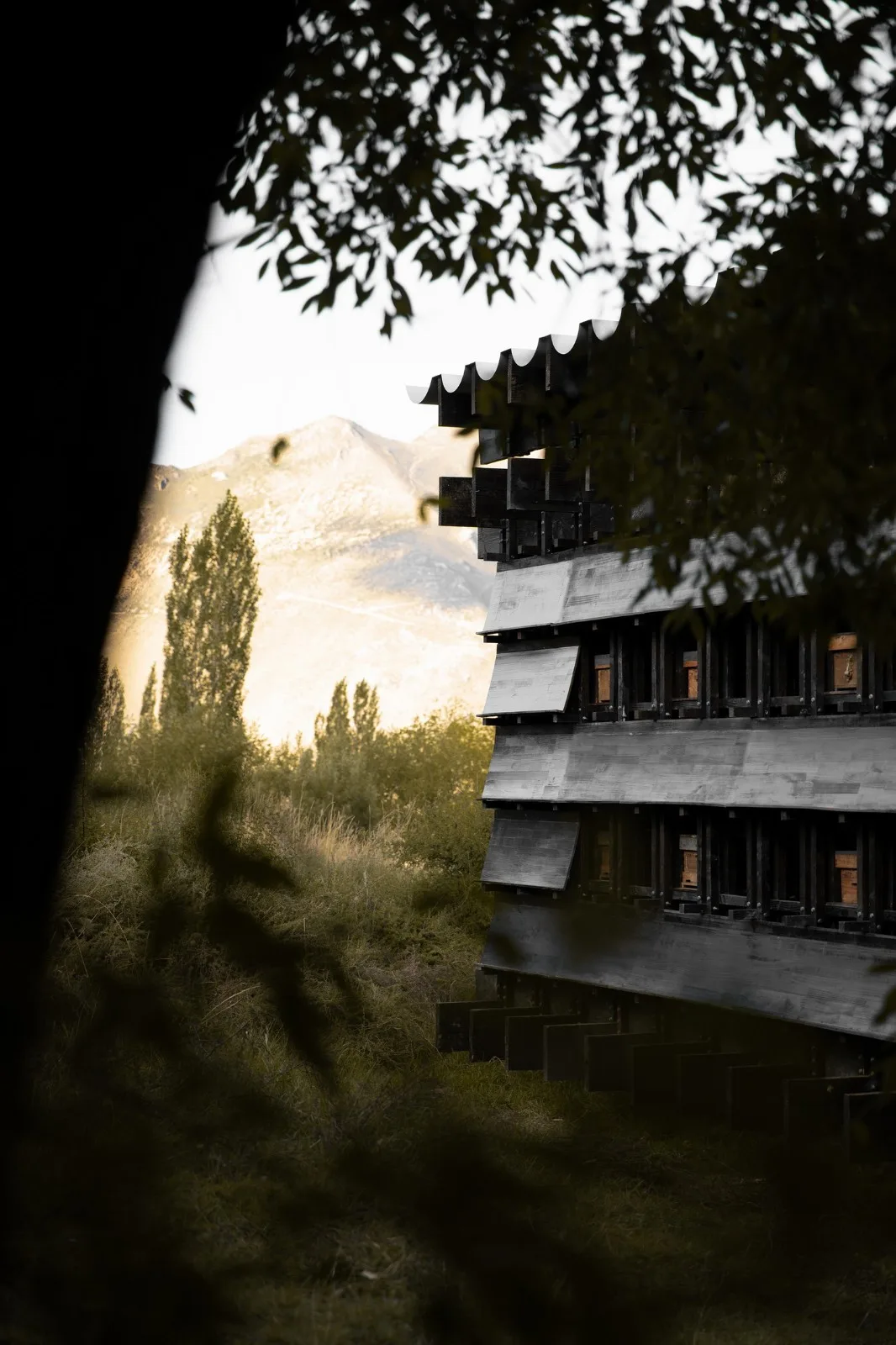 BIM Architecture | Bee Watching House in Shannan, Xizang/Moon Earth Architecture