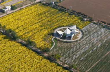 BIM Architecture: Yuntai Mountain Ice Chrysanthemum Field Library by One Tree Architecture-BIM WORLD