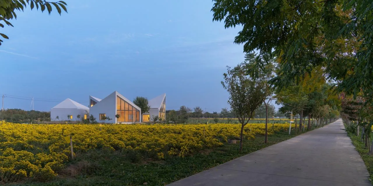 BIM Architecture | Yuntai Mountain Ice Chrysanthemum Field Library/One Tree Architecture