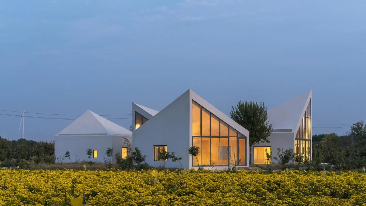 BIM Architecture | Yuntai Mountain Ice Chrysanthemum Field Library/One Tree Architecture