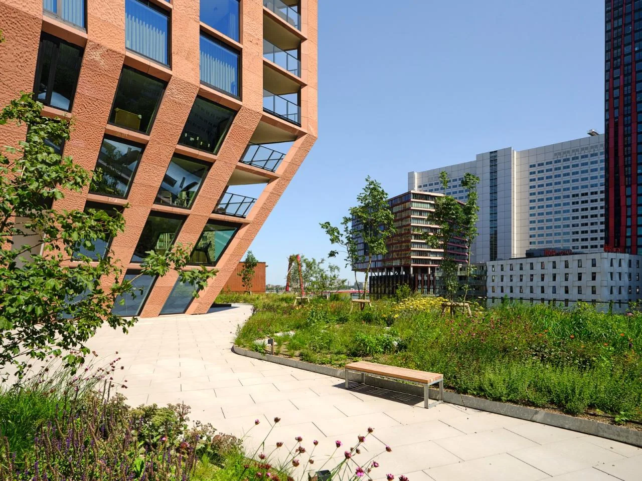 BIM Architecture | Casanova Building/Barcode Architects