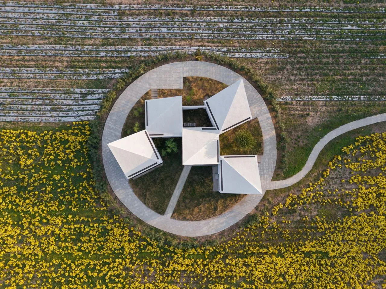BIM Architecture | Yuntai Mountain Ice Chrysanthemum Field Library/One Tree Architecture