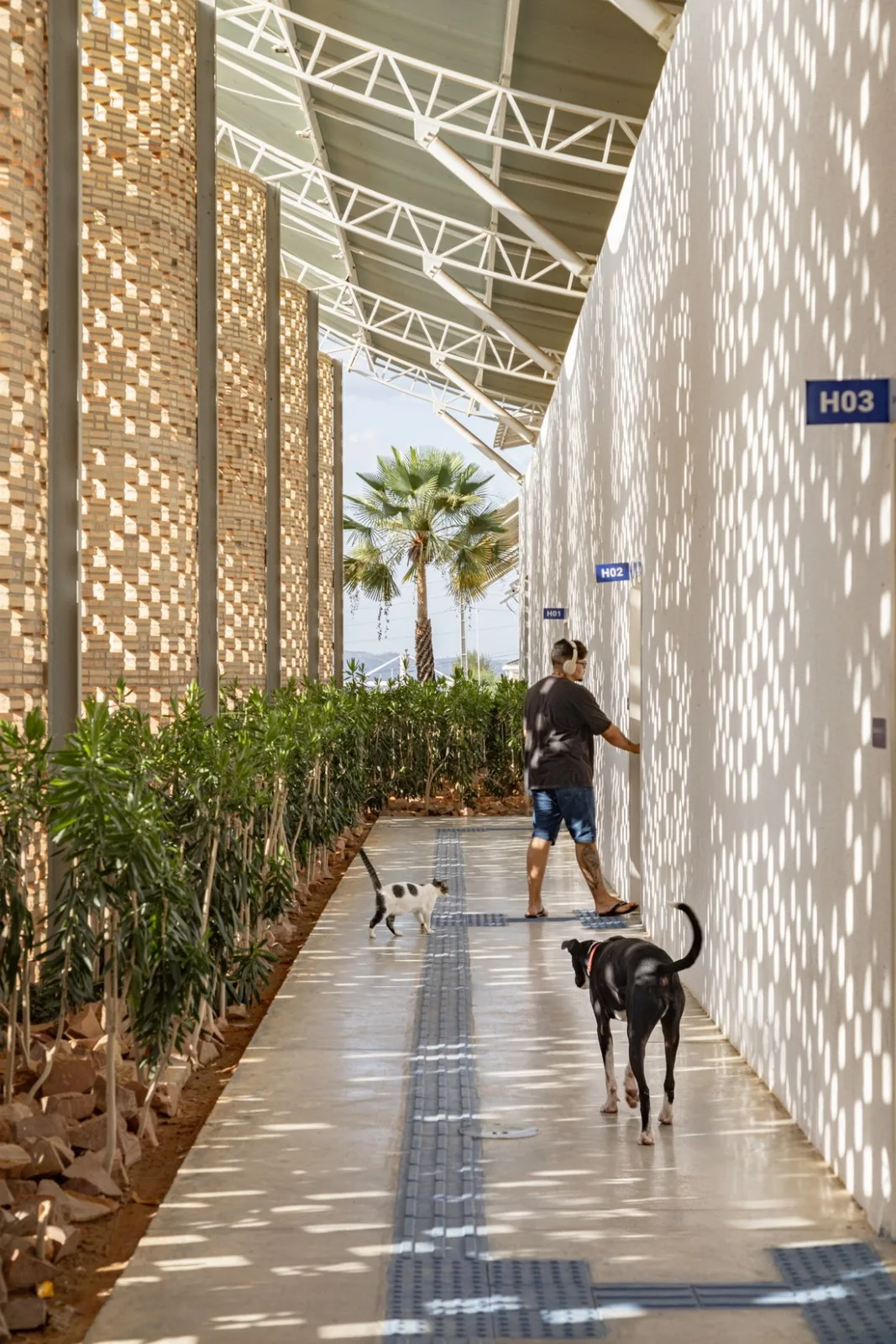BIM Architecture | Unieron School Veterinary Hospital/Lins Arquitetos Associados