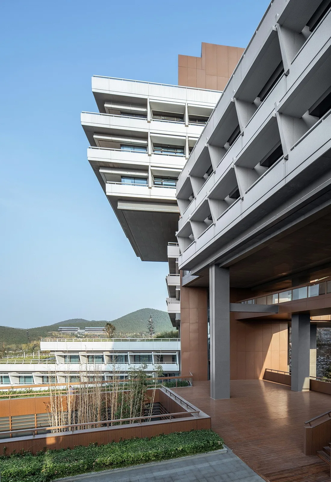 BIM Architecture | Xuzhou Garden Expo Park Dangkou Hotel/Architectural Landscape Design