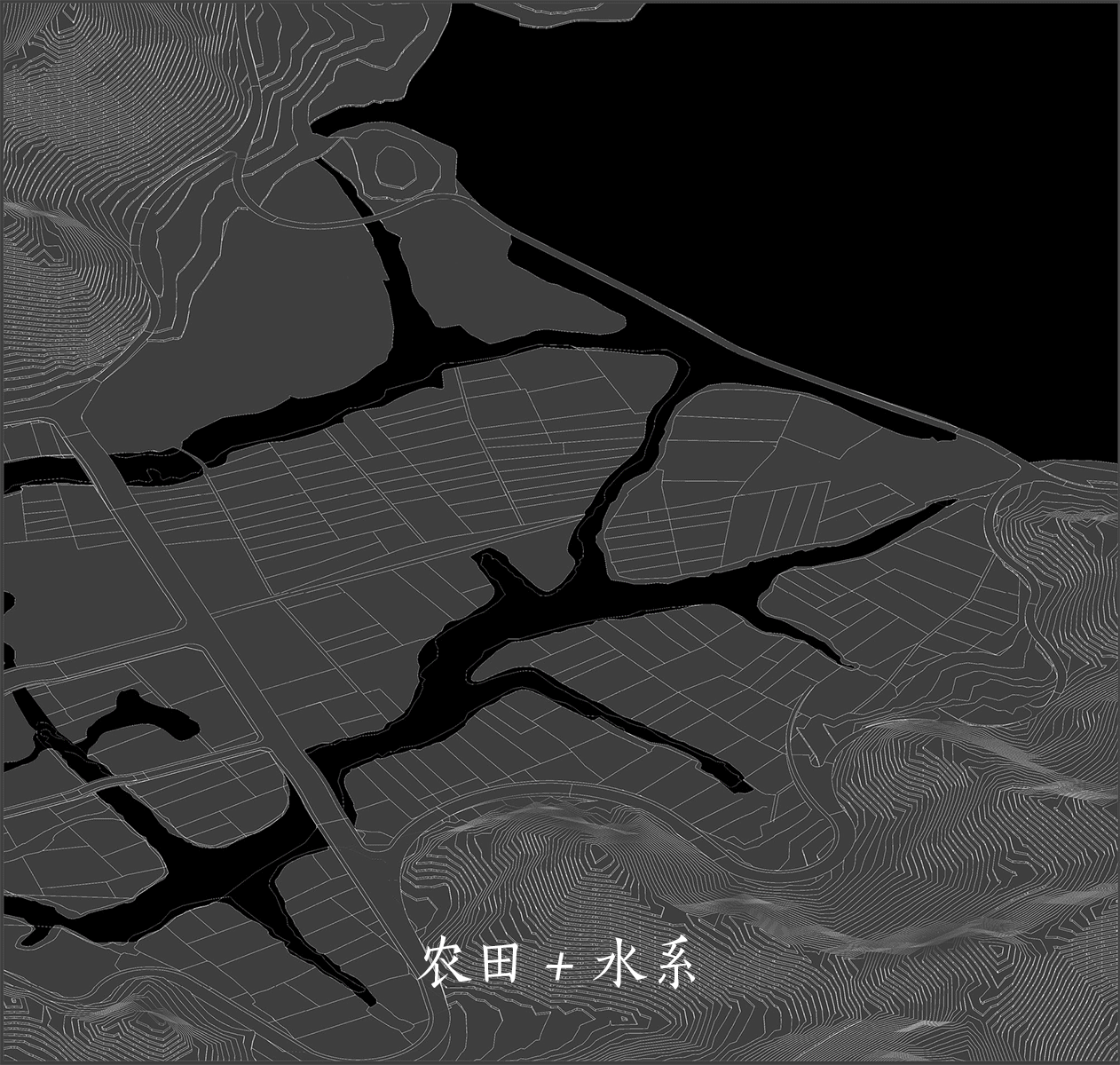 BIM Architecture | Rice Fields and Covered Bridges - Ningbo International Convention Center/Tanghua Architectural Design
