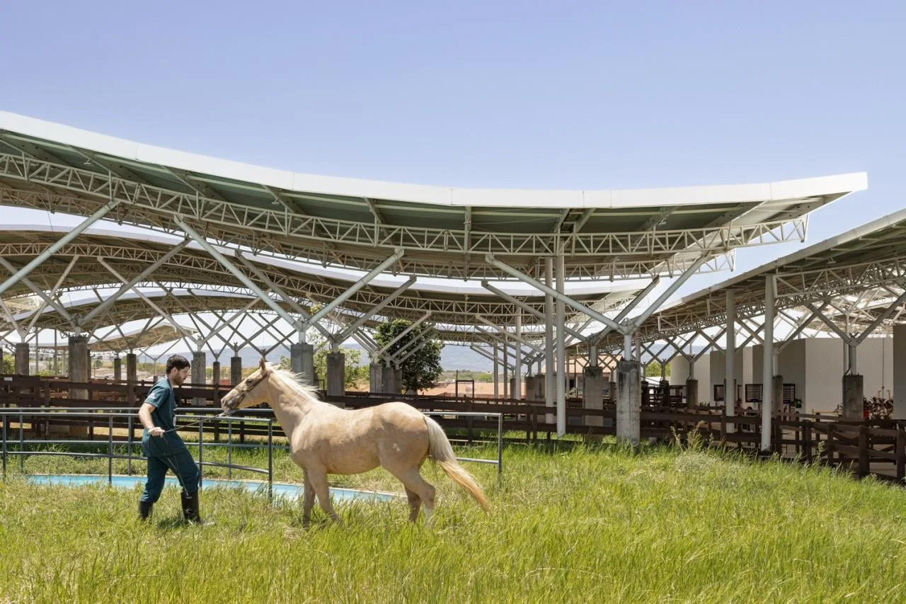 BIM Architecture | Unieron School Veterinary Hospital/Lins Arquitetos Associados