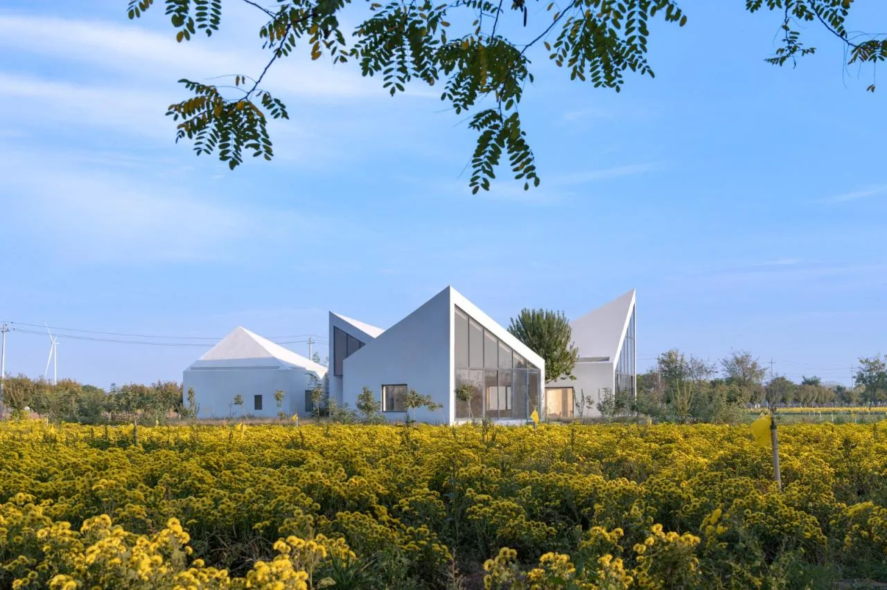 BIM Architecture | Yuntai Mountain Ice Chrysanthemum Field Library/One Tree Architecture