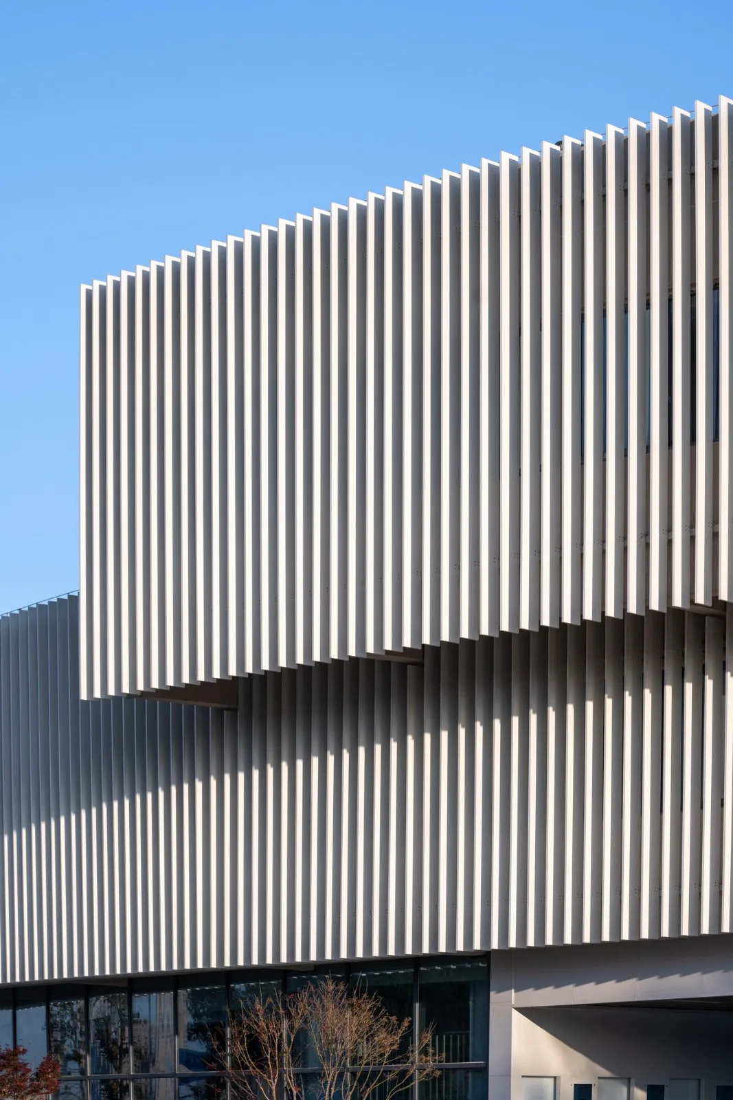 BIM Architecture | Mingming Experimental School/Mizhang Architecture