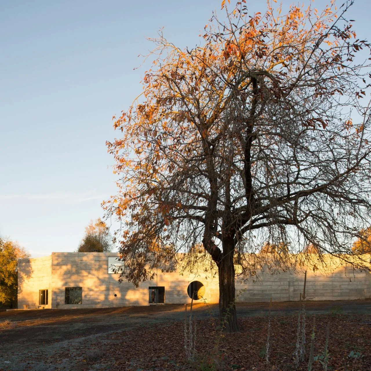 BIM Architecture | Moon God House/Pezo von Ellrichshausen