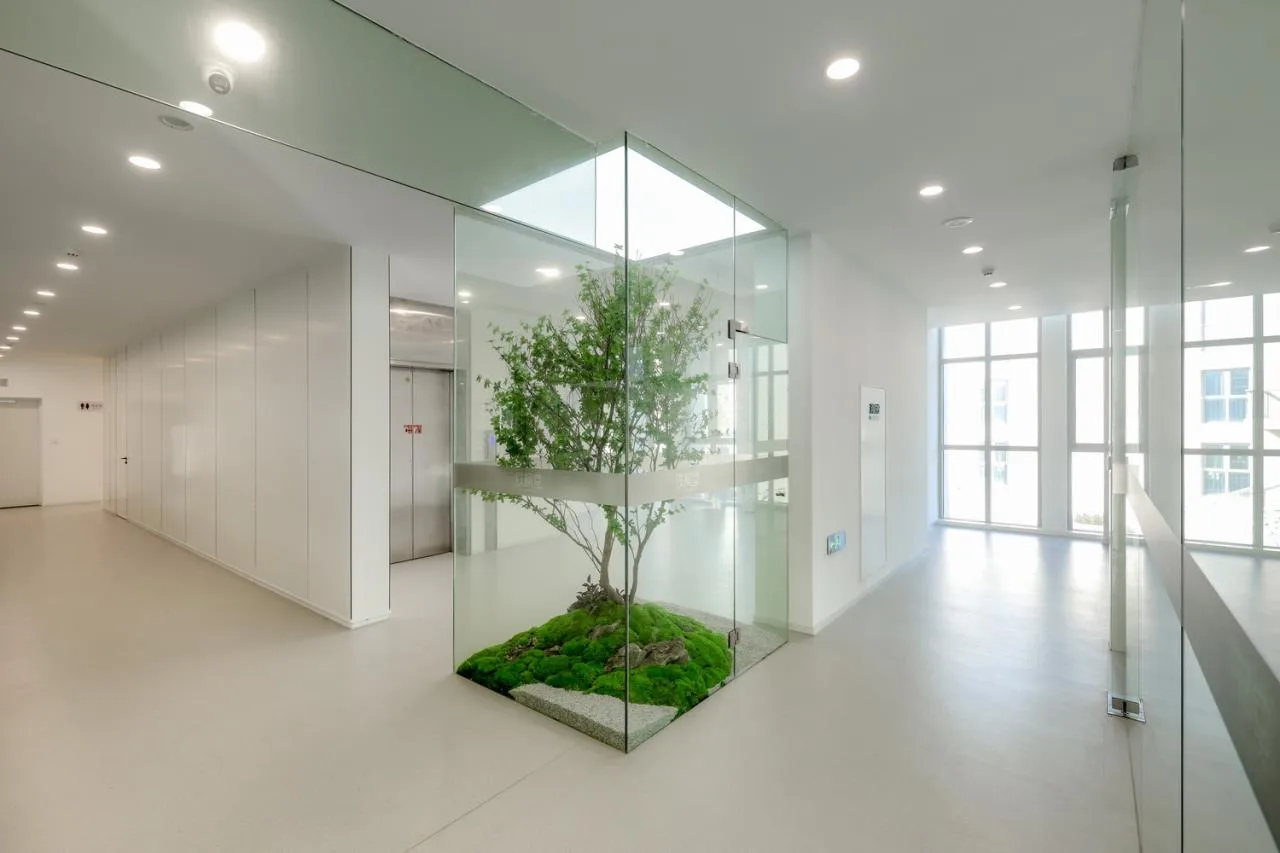 BIM Architecture | Tiefengtang R&D Building/Landscape Architecture