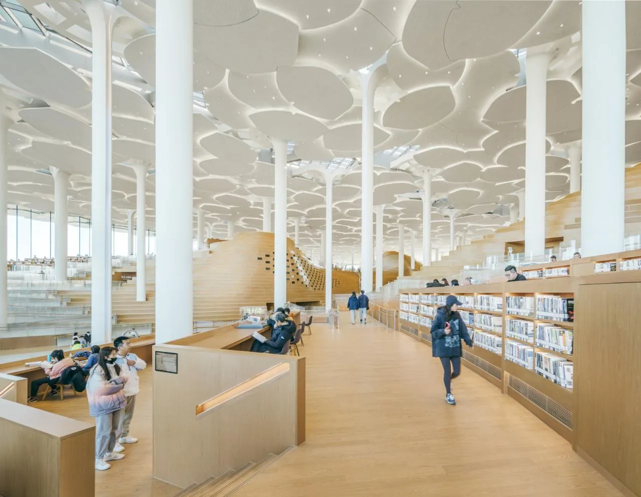 BIM Architecture | Beijing Urban Library, Book Hill under Ginkgo Tree/Sn ø hetta