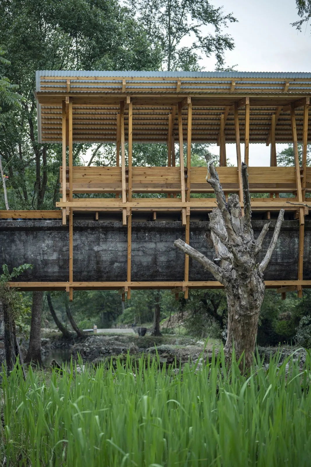 BIM Architecture | Fengwu Ji · Canal Corridor Bridge/IARA