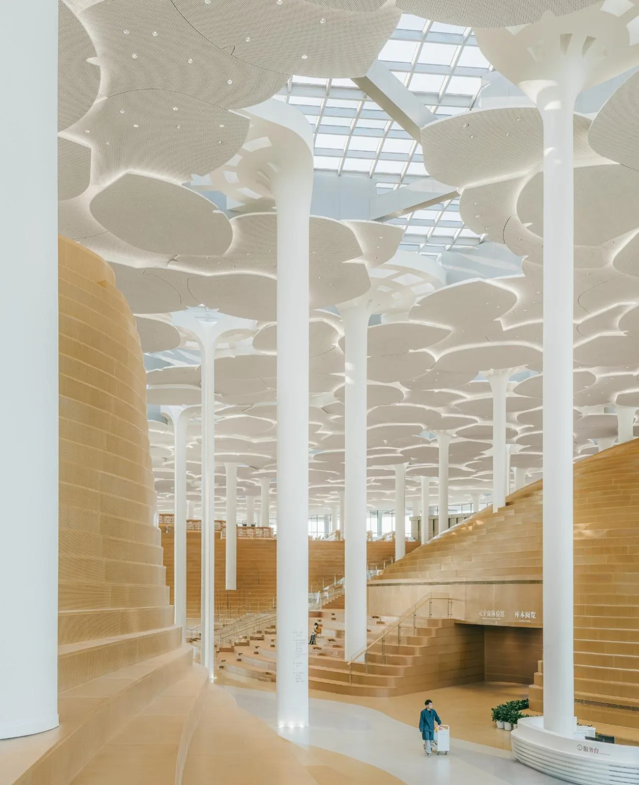 BIM Architecture | Beijing Urban Library, Book Hill under Ginkgo Tree/Sn ø hetta