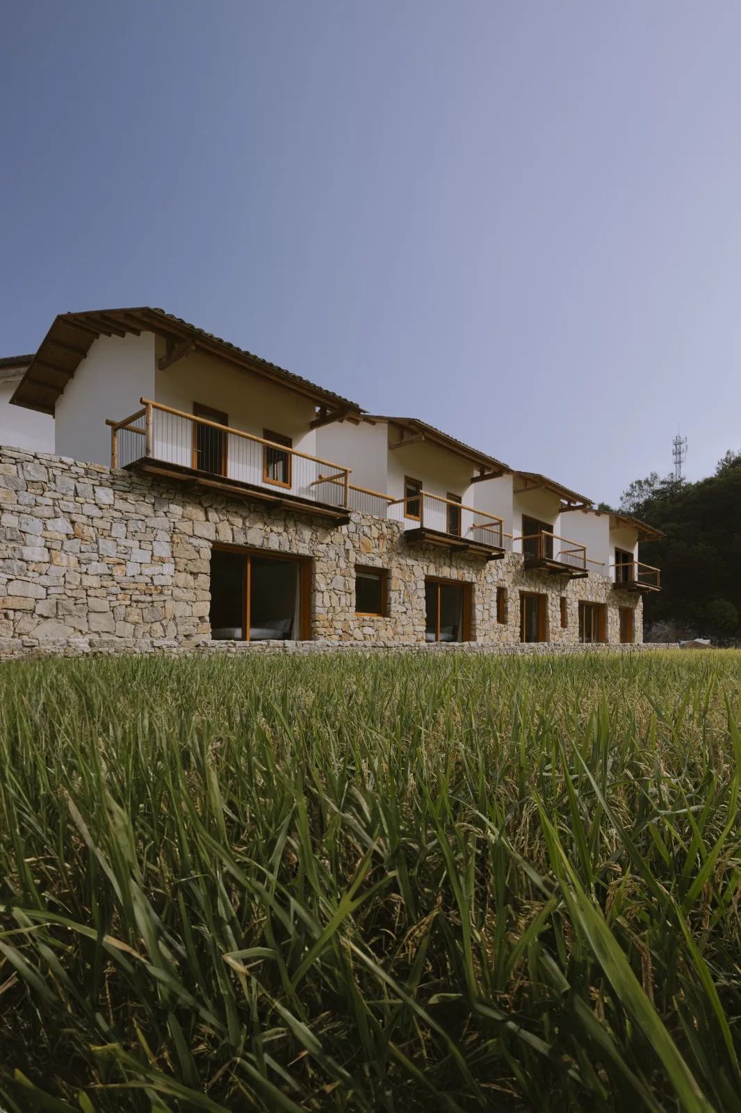 BIM Architecture | Luchai Mountain Collection Boutique Homestay/Small and Large Buildings