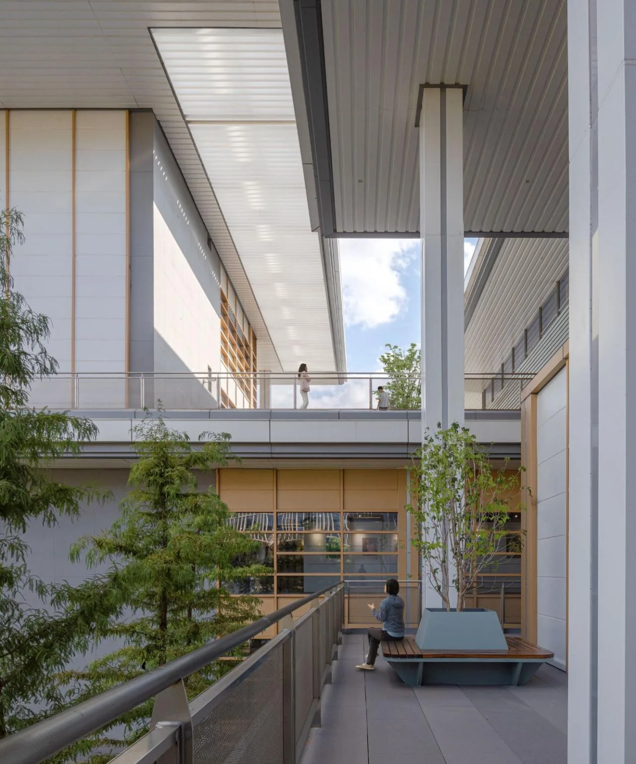 BIM Architecture | Pudong New Area Youth Activity Center and Mass Art Museum/Landscape Architecture Firm