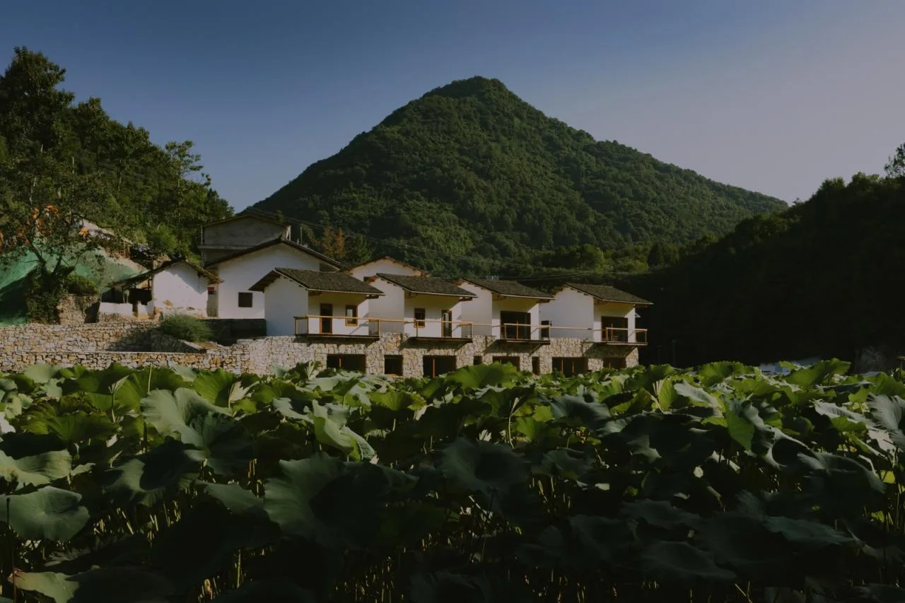 BIM Architecture | Luchai Mountain Collection Boutique Homestay/Small and Large Buildings