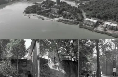 BIM Architecture: Embracing the Human Spirit of Ancient Temples and Mountains at Cihu Academy in Qingyuan-BIM WORLD