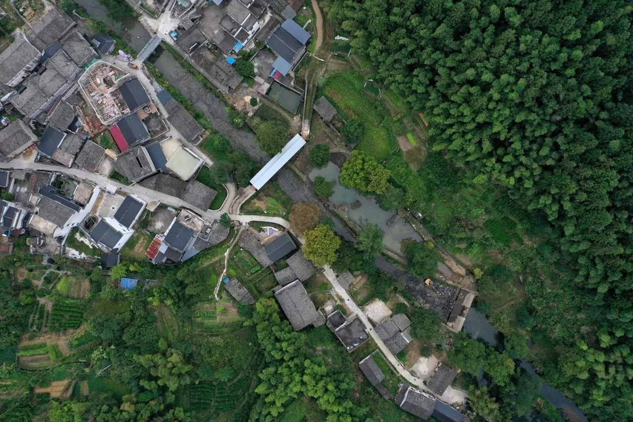 BIM Architecture | Fengwu Ji · Canal Corridor Bridge/IARA