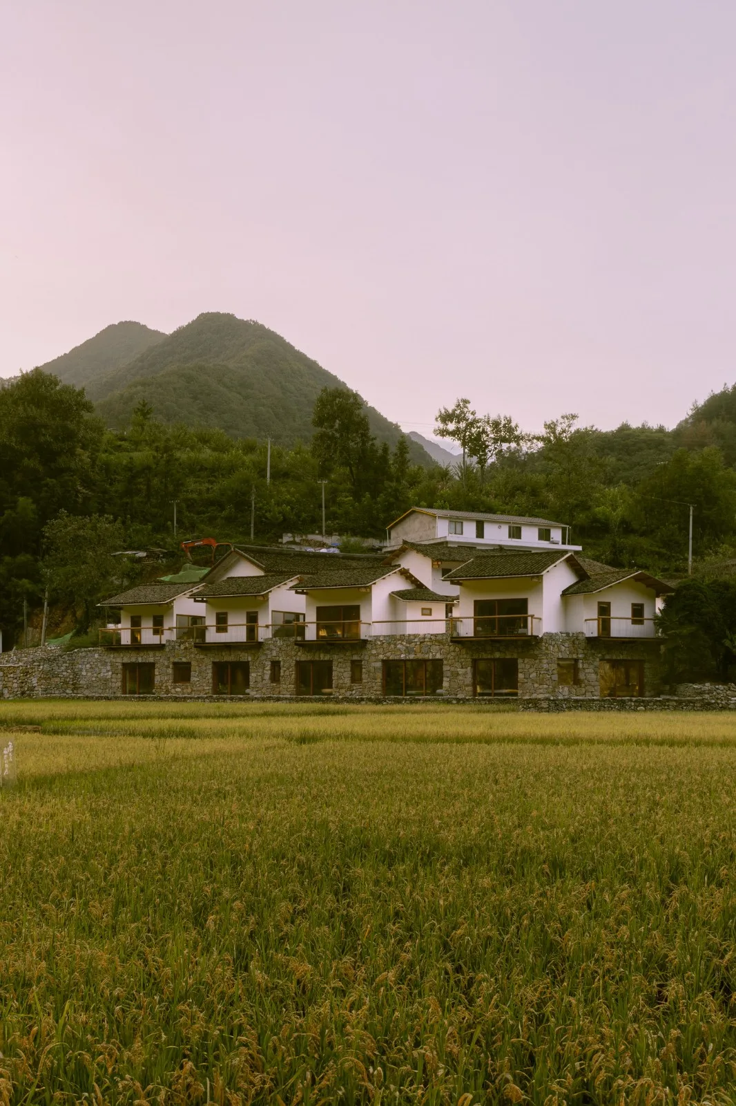 BIM Architecture | Luchai Mountain Collection Boutique Homestay/Small and Large Buildings