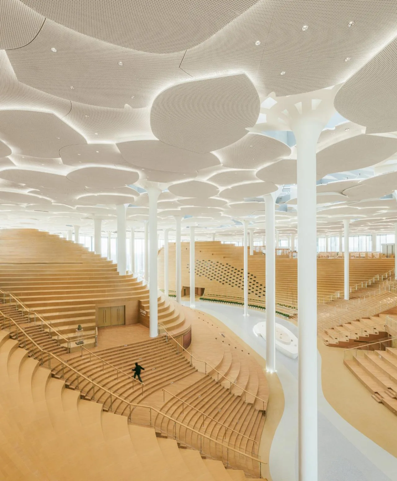 BIM Architecture | Beijing Urban Library, Book Hill under Ginkgo Tree/Sn ø hetta