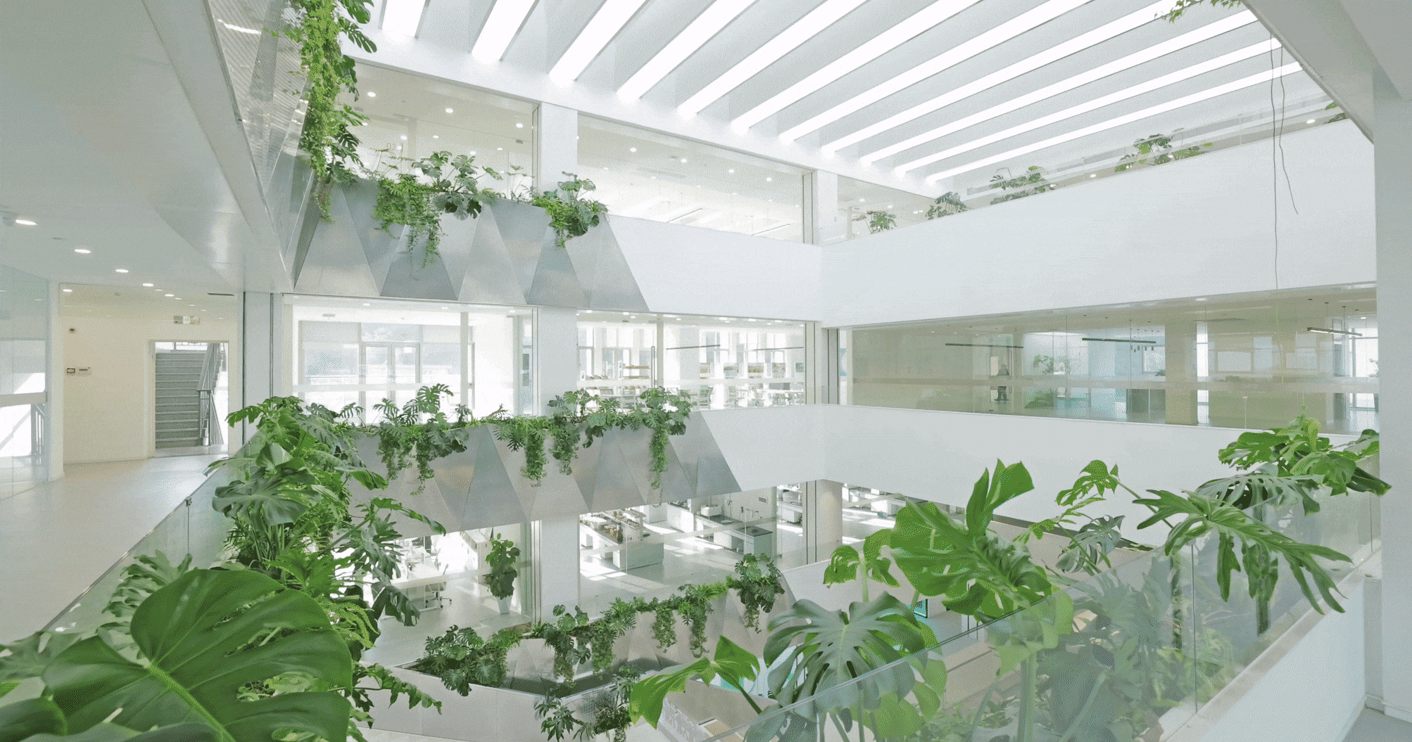 BIM Architecture | Tiefengtang R&D Building/Landscape Architecture