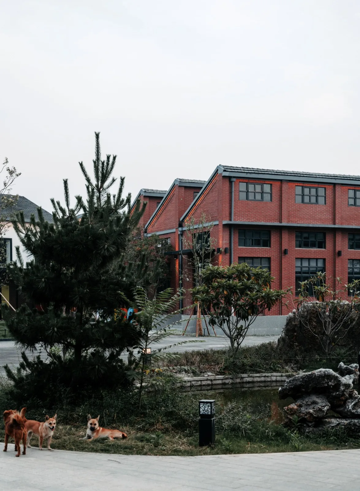 BIM Architecture | Silk Road Shengze Digital Culture Industry Park Demonstration Zone - Shengze Tanqiu Silk Spinning Factory Renovation/Flat Design