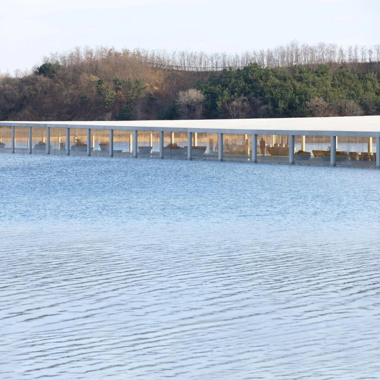 BIM Architecture | Water Art Museum/Ishigami Junya Architecture Firm