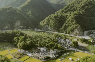 BIM Architecture: Luchai Mountain Collection Boutique Homestay Featuring Small and Large Buildings-BIM WORLD