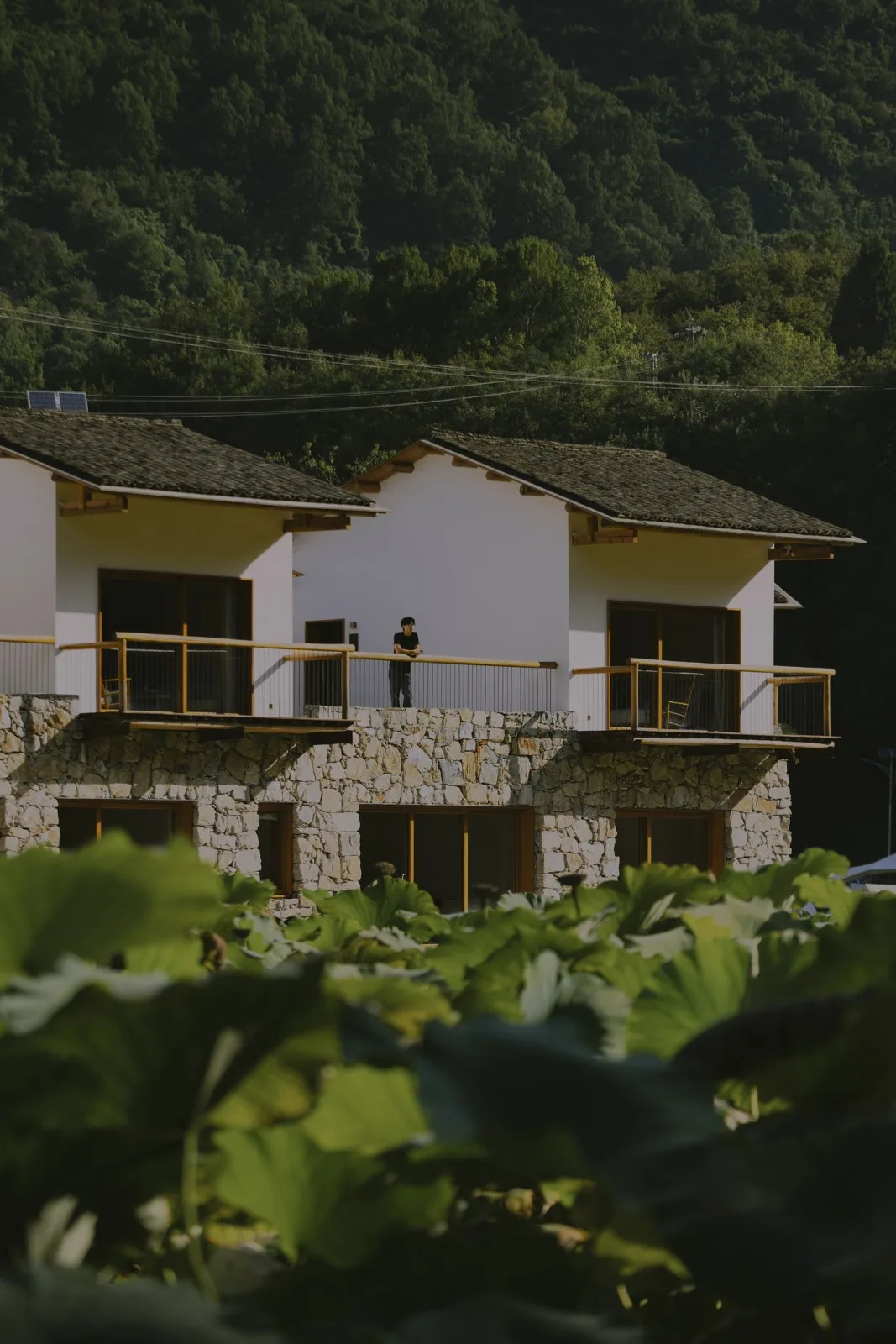 BIM Architecture | Luchai Mountain Collection Boutique Homestay/Small and Large Buildings