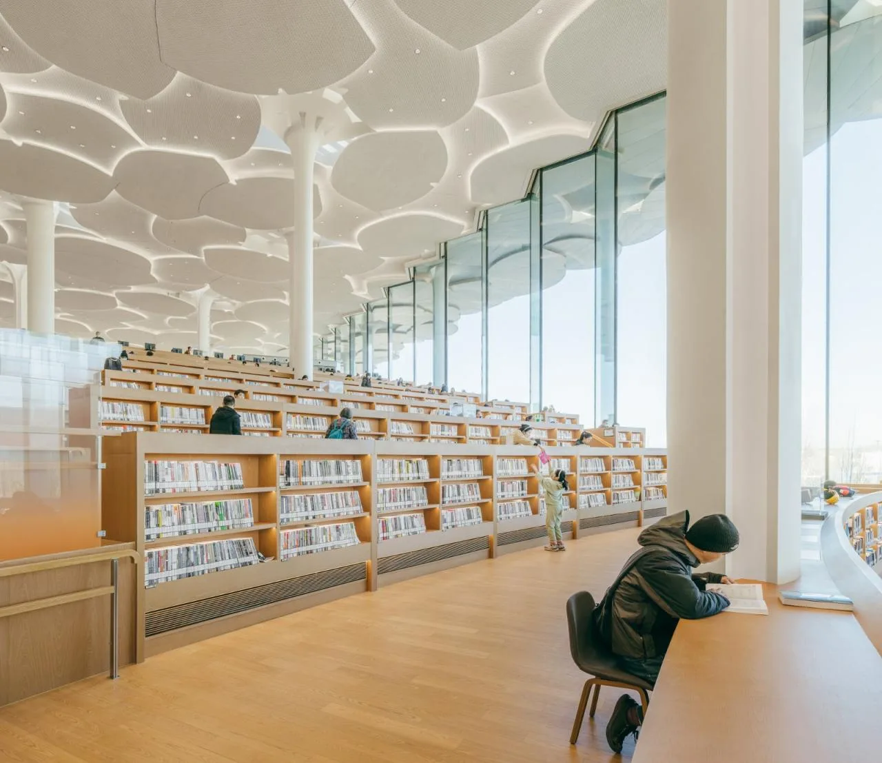BIM Architecture | Beijing Urban Library, Book Hill under Ginkgo Tree/Sn ø hetta