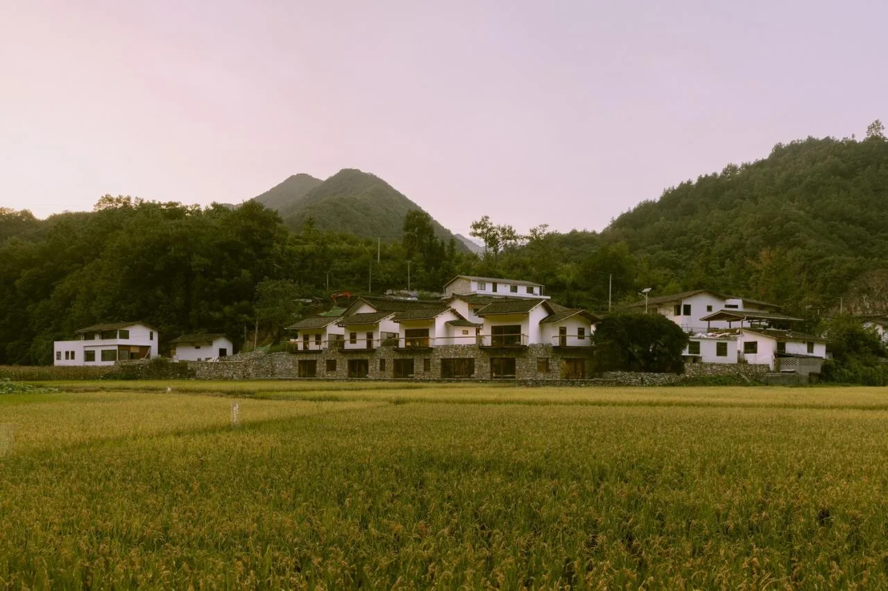 BIM Architecture | Luchai Mountain Collection Boutique Homestay/Small and Large Buildings