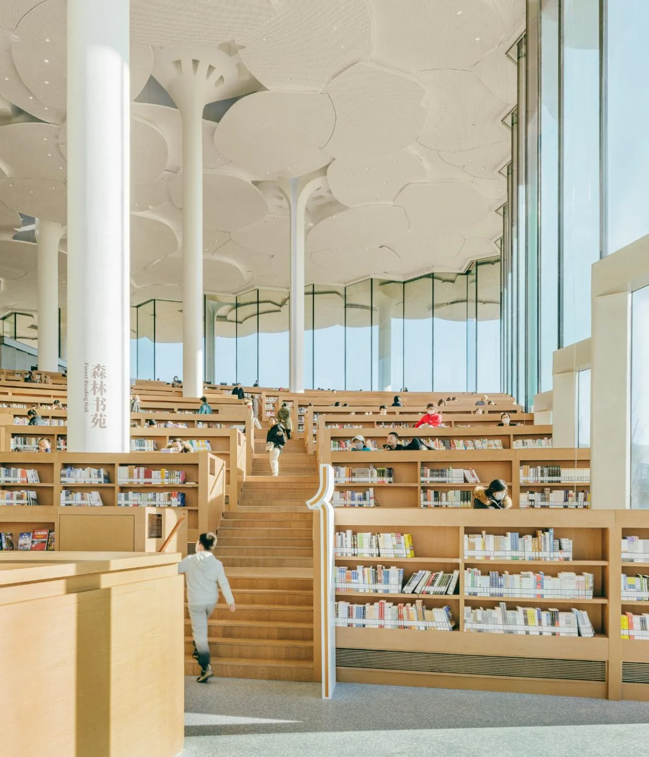 BIM Architecture | Beijing Urban Library, Book Hill under Ginkgo Tree/Sn ø hetta