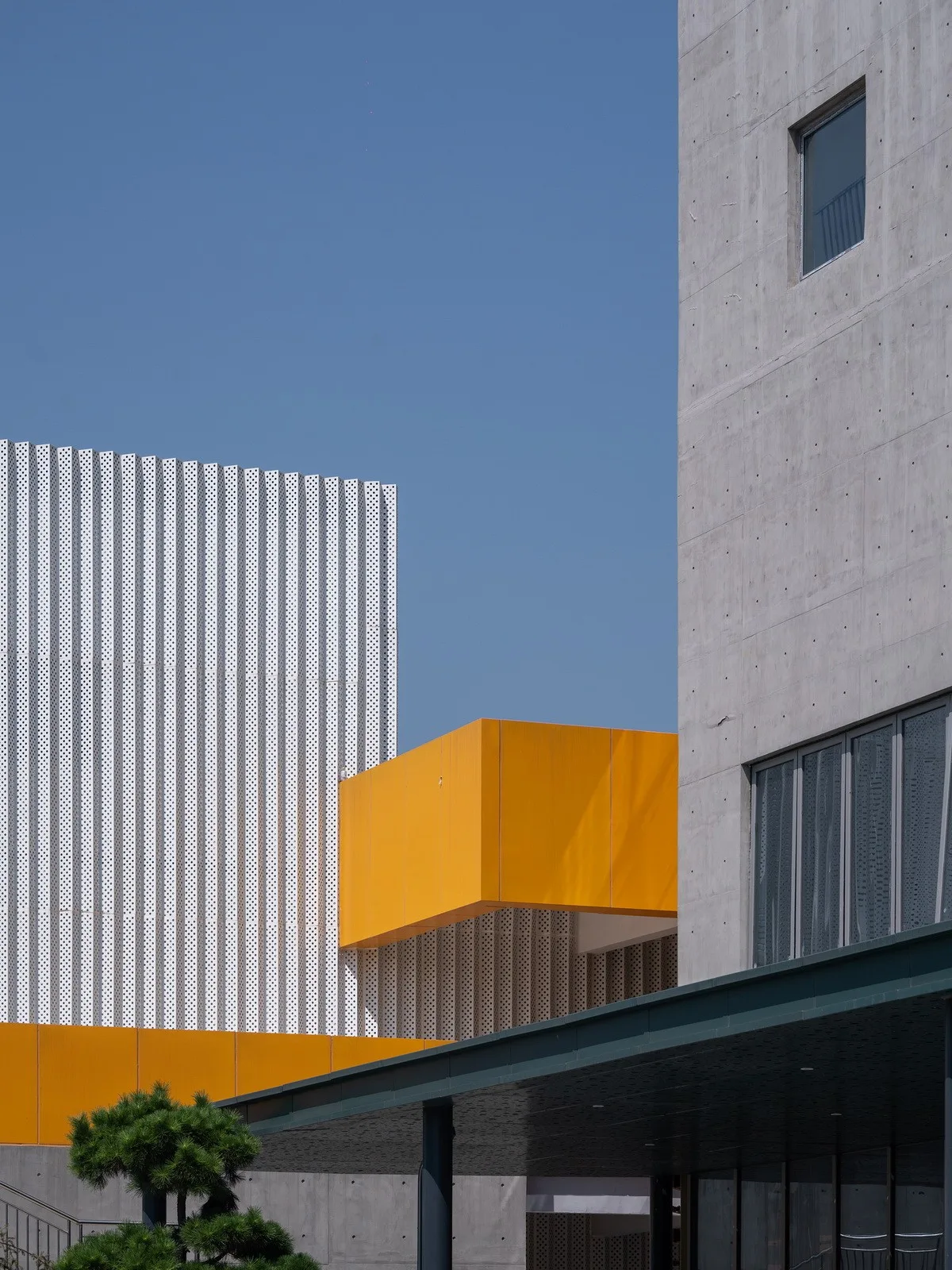 BIM Architecture | Haining Chang'an International Flower Industry Park/Forest Architecture+Park Architecture